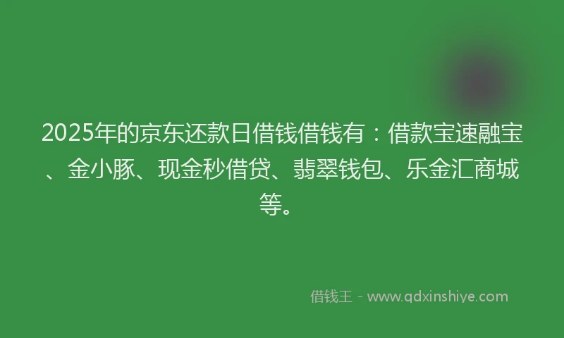 2025年的京东还款日借钱借钱有：借款宝速融宝、金小豚、现金秒借贷、翡翠钱包、乐金汇商城等。