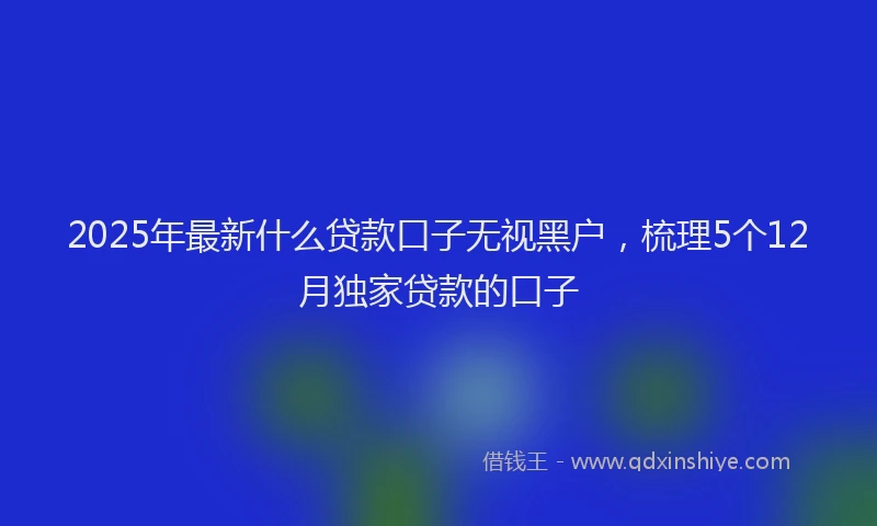 2025年最新什么贷款口子无视黑户，梳理5个12月独家贷款的口子
