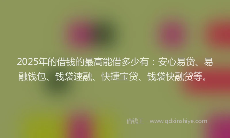 2025年的借钱的最高能借多少有：安心易贷、易融钱包、钱袋速融、快捷宝贷、钱袋快融贷等。