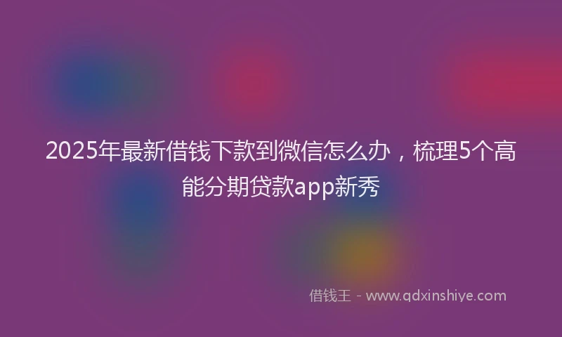 2025年最新借钱下款到微信怎么办，梳理5个高能分期贷款app新秀