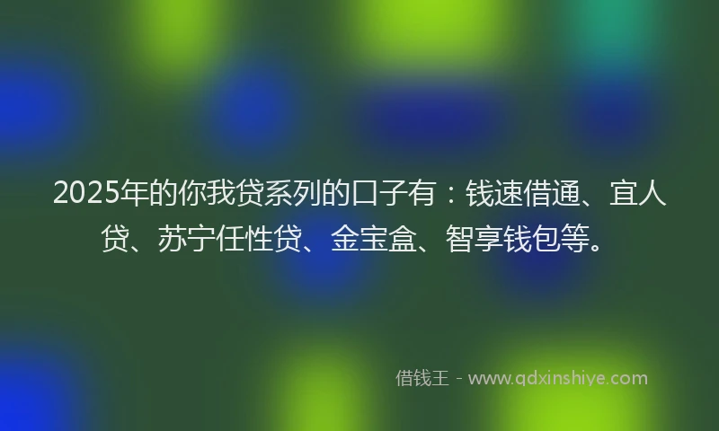 2025年的你我贷系列的口子有：钱速借通、宜人贷、苏宁任性贷、金宝盒、智享钱包等。