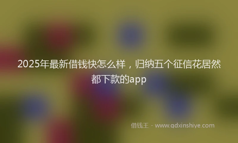 2025年最新借钱快怎么样，归纳五个征信花居然都下款的app