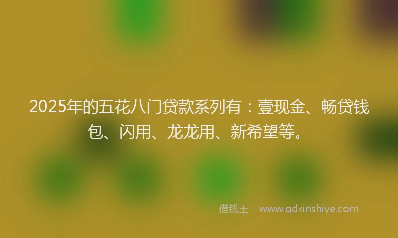 2025年的五花八门贷款系列有：壹现金、畅贷钱包、闪用、龙龙用、新希望等。