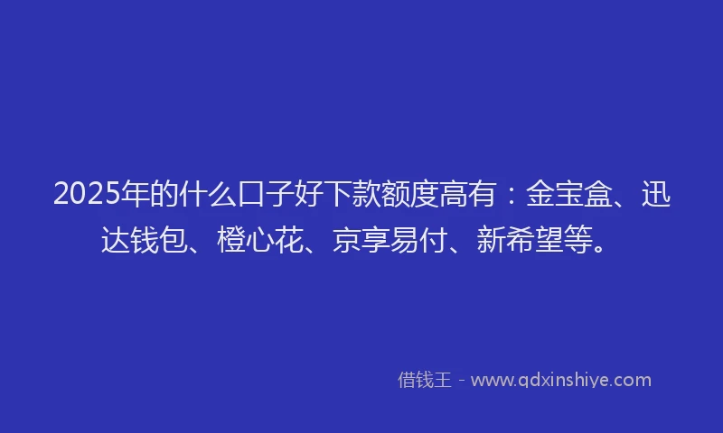 2025年的什么口子好下款额度高有：金宝盒、迅达钱包、橙心花、京享易付、新希望等。