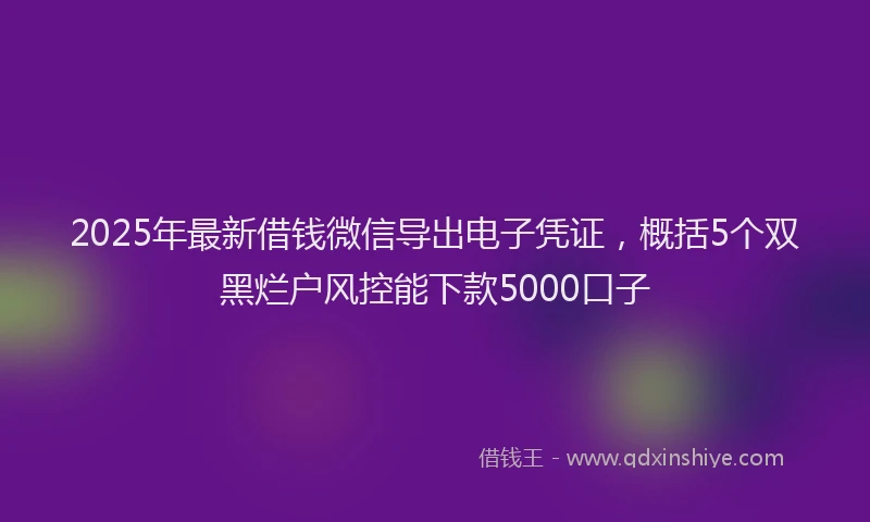 2025年最新借钱微信导出电子凭证，概括5个双黑烂户风控能下款5000口子