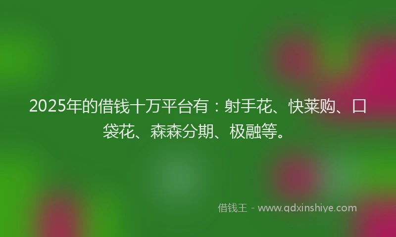 2025年的借钱十万平台有：射手花、快莱购、口袋花、森森分期、极融等。