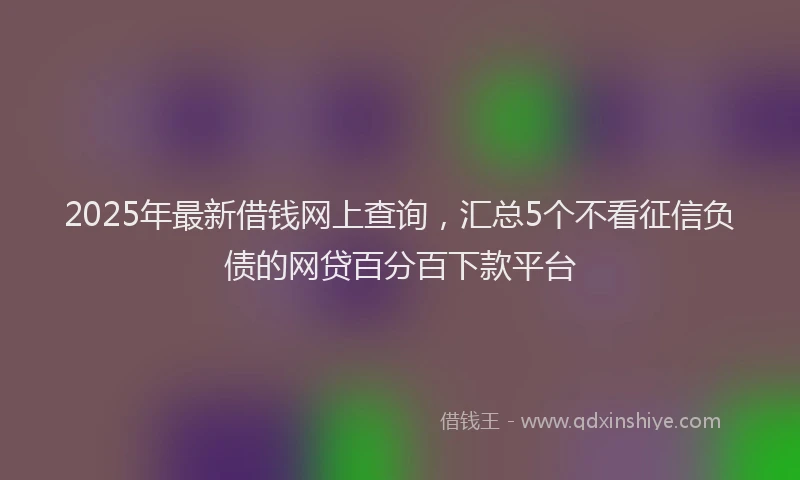 2025年最新借钱网上查询，汇总5个不看征信负债的网贷百分百下款平台