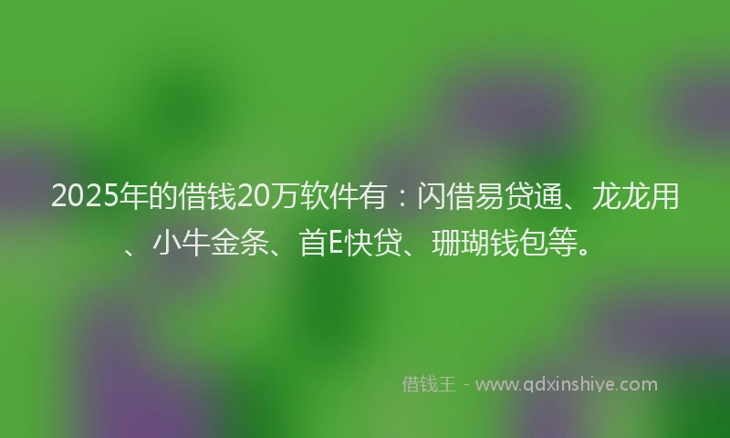 2025年的借钱20万软件有：闪借易贷通、龙龙用、小牛金条、首E快贷、珊瑚钱包等。
