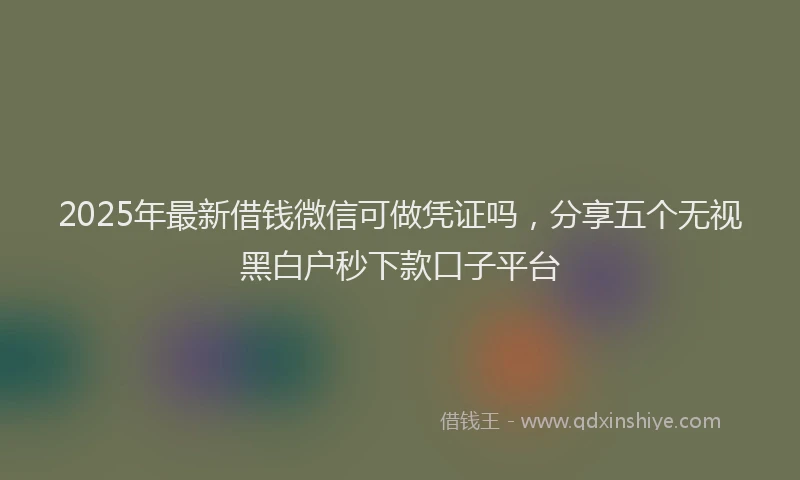 2025年最新借钱微信可做凭证吗，分享五个无视黑白户秒下款口子平台