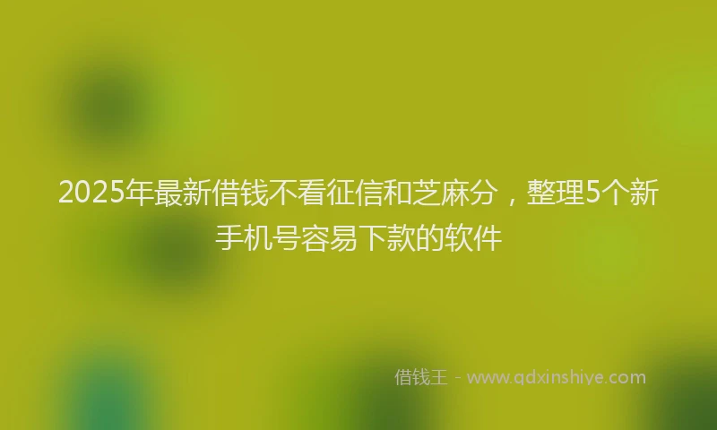 2025年最新借钱不看征信和芝麻分，整理5个新手机号容易下款的软件