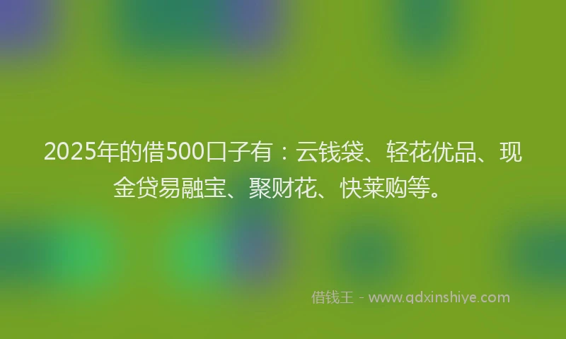 2025年的借500口子有：云钱袋、轻花优品、现金贷易融宝、聚财花、快莱购等。