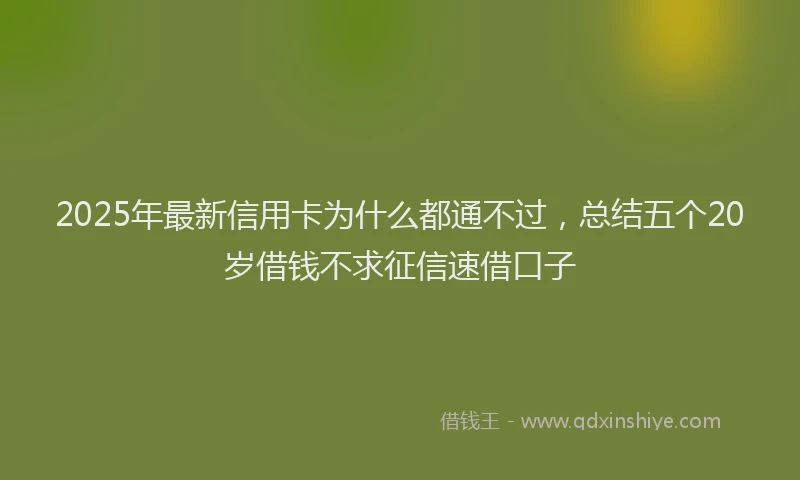 2025年最新信用卡为什么都通不过，总结五个20岁借钱不求征信速借口子