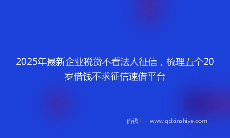 2025年最新企业税贷不看法人征信，梳理五个20岁借钱不求征信速借平台