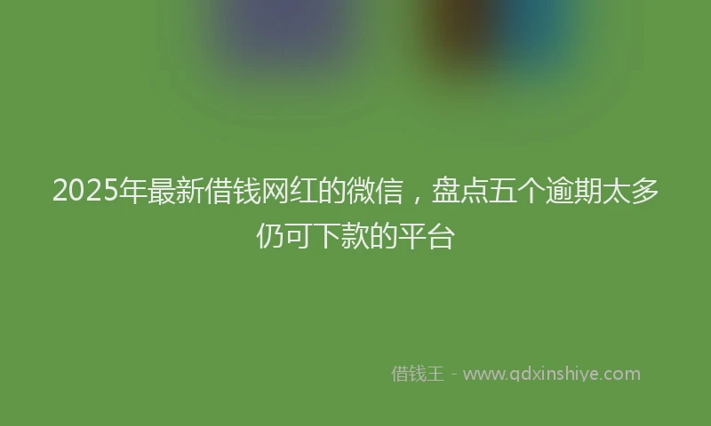 2025年最新借钱网红的微信，盘点五个逾期太多仍可下款的平台