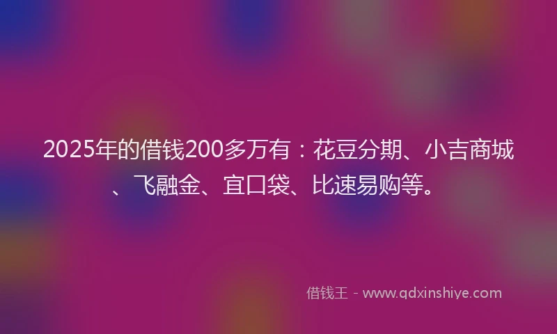 2025年的借钱200多万有：花豆分期、小吉商城、飞融金、宜口袋、比速易购等。
