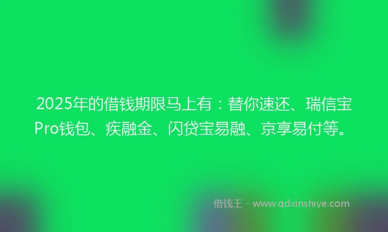 2025年的借钱期限马上有：替你速还、瑞信宝Pro钱包、疾融金、闪贷宝易融、京享易付等。
