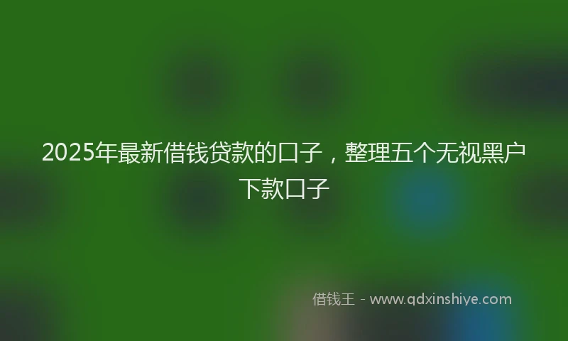 2025年最新借钱贷款的口子，整理五个无视黑户下款口子