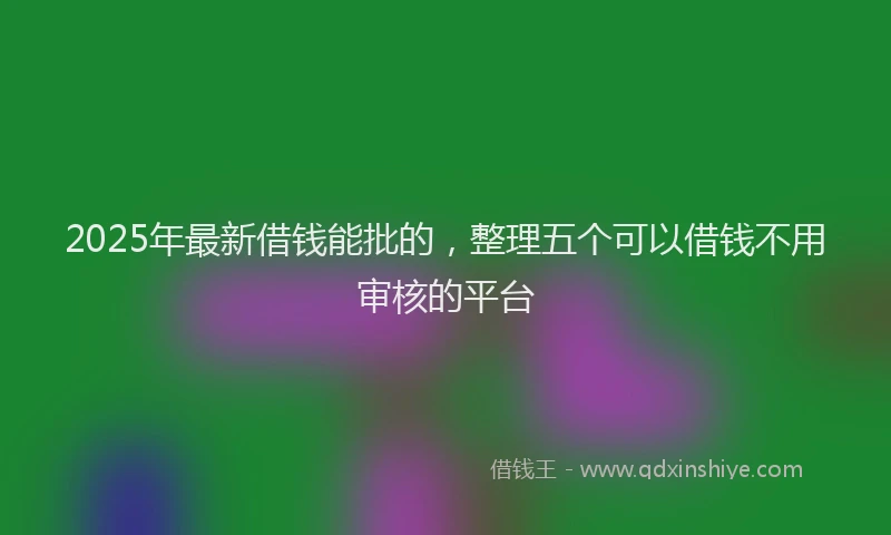 2025年最新借钱能批的，整理五个可以借钱不用审核的平台
