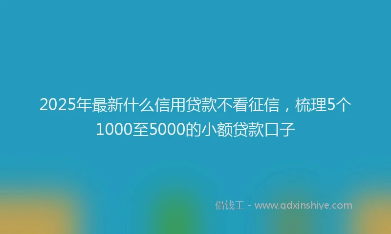 2025年最新什么信用贷款不看征信，梳理5个1000至5000的小额贷款口子