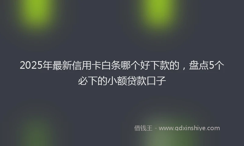 2025年最新信用卡白条哪个好下款的，盘点5个必下的小额贷款口子
