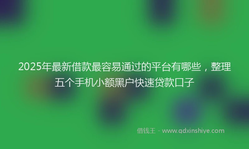 2025年最新借款最容易通过的平台有哪些，整理五个手机小额黑户快速贷款口子