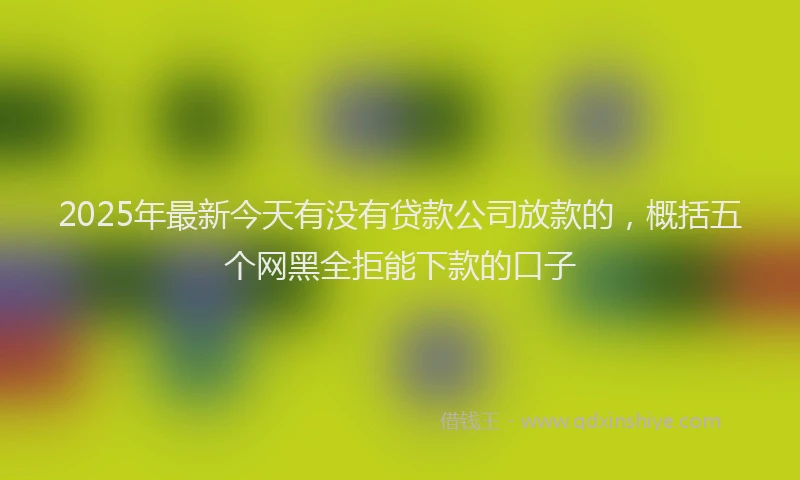 2025年最新今天有没有贷款公司放款的，概括五个网黑全拒能下款的口子