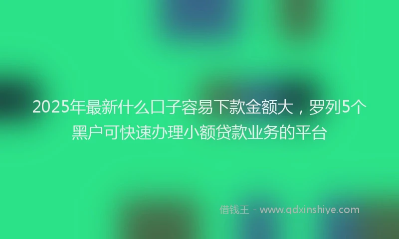 2025年最新什么口子容易下款金额大，罗列5个黑户可快速办理小额贷款业务的平台