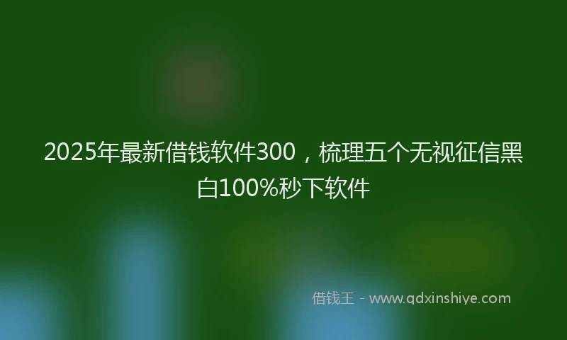 2025年最新借钱软件300，梳理五个无视征信黑白100%秒下软件