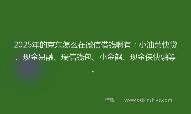 2025年的京东怎么在微信借钱啊有：小油菜快贷、现金易融、瑞信钱包、小金鹤、现金侠快融等。