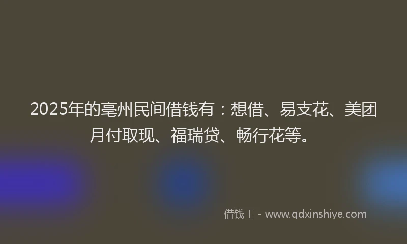 2025年的亳州民间借钱有：想借、易支花、美团月付取现、福瑞贷、畅行花等。