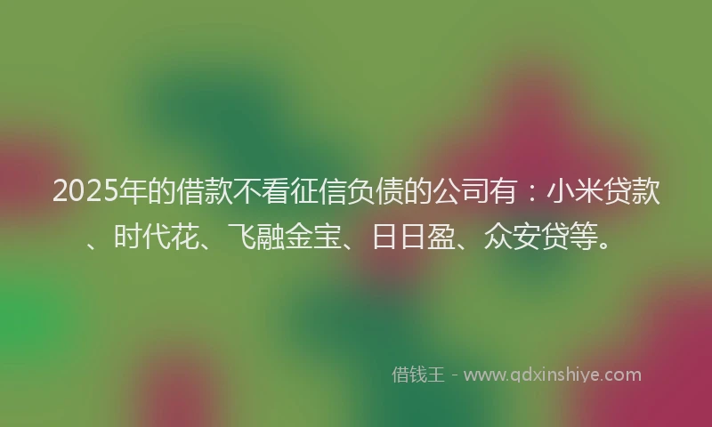2025年的借款不看征信负债的公司有：小米贷款、时代花、飞融金宝、日日盈、众安贷等。
