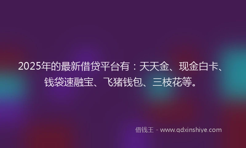 2025年的最新借贷平台有：天天金、现金白卡、钱袋速融宝、飞猪钱包、三枝花等。