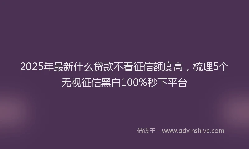 2025年最新什么贷款不看征信额度高，梳理5个无视征信黑白100%秒下平台