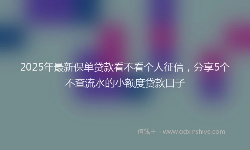 2025年最新保单贷款看不看个人征信，分享5个不查流水的小额度贷款口子