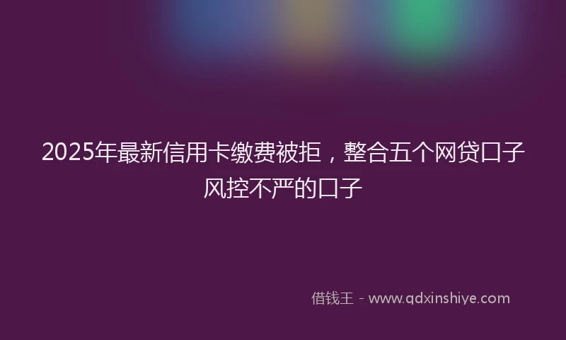 2025年最新信用卡缴费被拒，整合五个网贷口子风控不严的口子