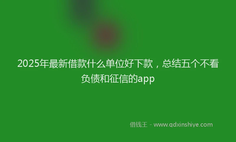 2025年最新借款什么单位好下款，总结五个不看负债和征信的app