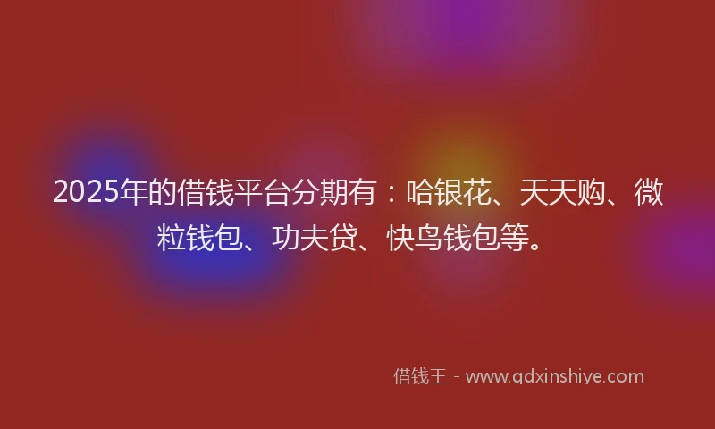 2025年的借钱平台分期有：哈银花、天天购、微粒钱包、功夫贷、快鸟钱包等。
