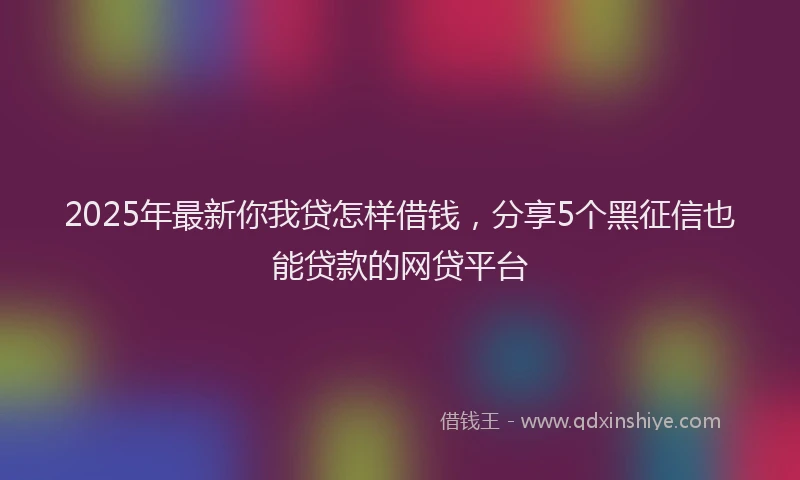 2025年最新你我贷怎样借钱，分享5个黑征信也能贷款的网贷平台
