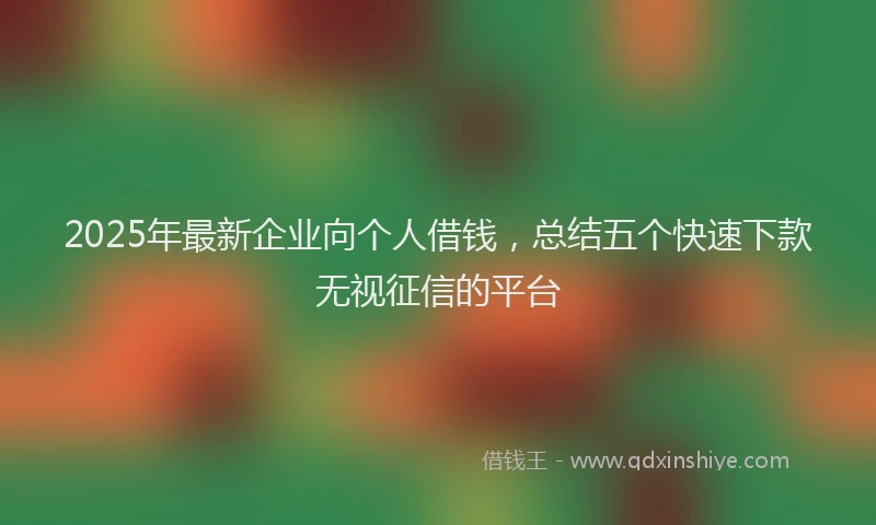 2025年最新企业向个人借钱，总结五个快速下款无视征信的平台