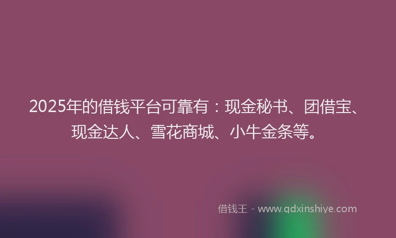 2025年的借钱平台可靠有：现金秘书、团借宝、现金达人、雪花商城、小牛金条等。