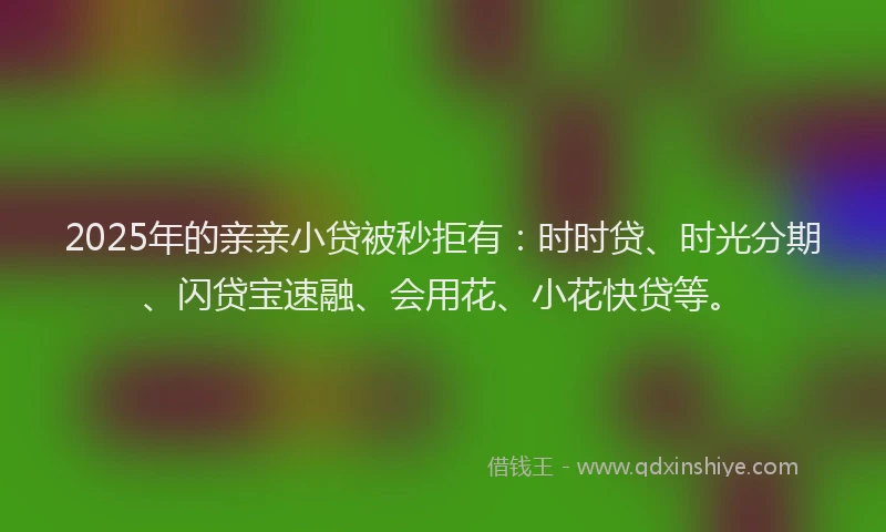 2025年的亲亲小贷被秒拒有：时时贷、时光分期、闪贷宝速融、会用花、小花快贷等。