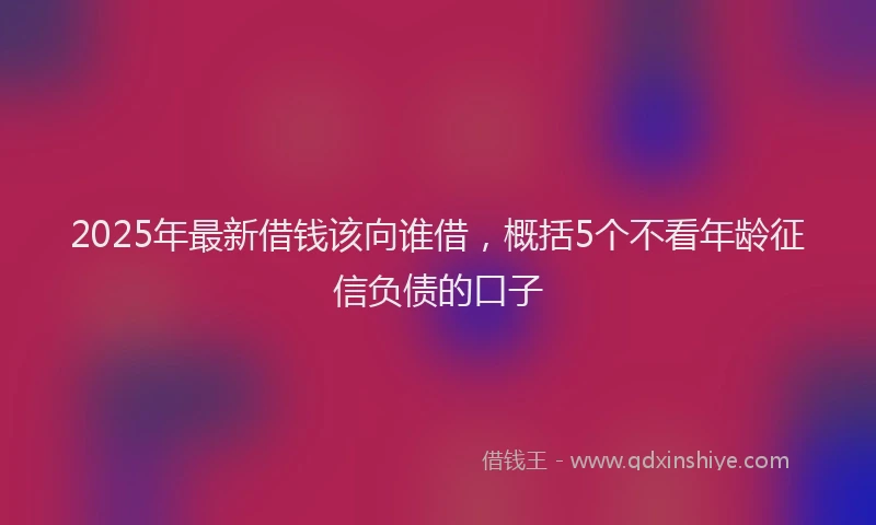 2025年最新借钱该向谁借，概括5个不看年龄征信负债的口子