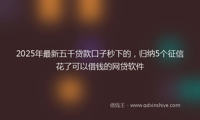 2025年最新五千贷款口子秒下的，归纳5个征信花了可以借钱的网贷软件