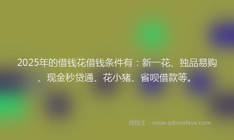 2025年的借钱花借钱条件有：新一花、独品易购、现金秒贷通、花小猪、省呗借款等。