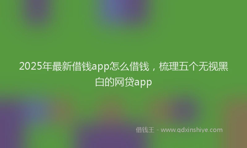 2025年最新借钱app怎么借钱，梳理五个无视黑白的网贷app