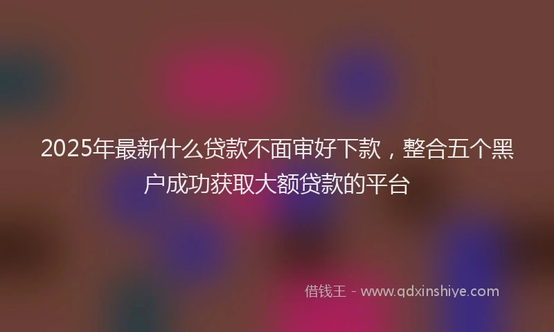 2025年最新什么贷款不面审好下款，整合五个黑户成功获取大额贷款的平台