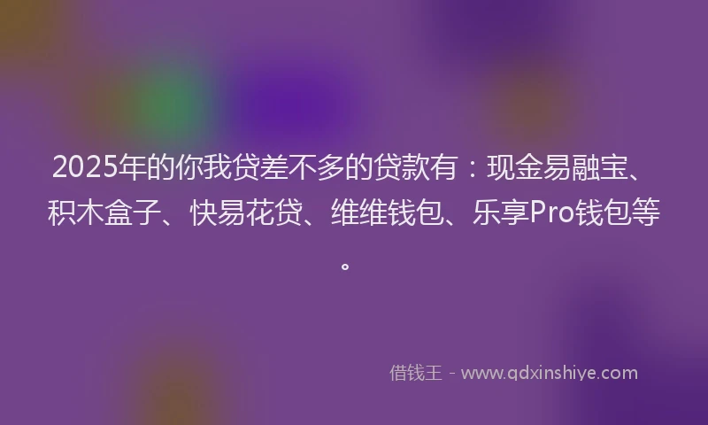 2025年的你我贷差不多的贷款有：现金易融宝、积木盒子、快易花贷、维维钱包、乐享Pro钱包等。