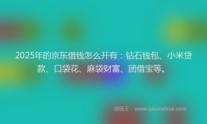 2025年的京东借钱怎么开有：钻石钱包、小米贷款、口袋花、麻袋财富、团借宝等。
