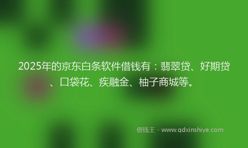 2025年的京东白条软件借钱有：翡翠贷、好期贷、口袋花、疾融金、柚子商城等。