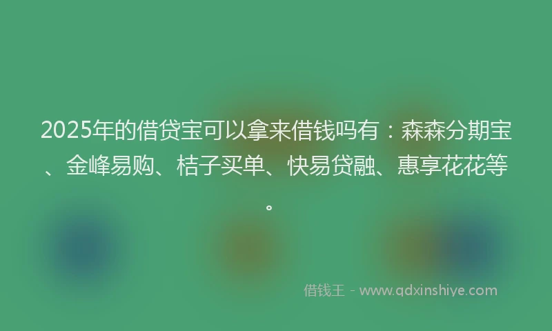 2025年的借贷宝可以拿来借钱吗有：森森分期宝、金峰易购、桔子买单、快易贷融、惠享花花等。